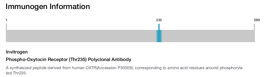 Phospho-Oxytocin Receptor (Thr235) Polyclonal Antibody