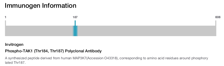 Phospho-TAK1 (Thr184, Thr187) Polyclonal Antibody
