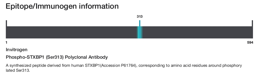 Phospho-STXBP1 (Ser313) Polyclonal Antibody