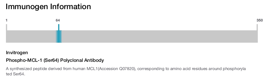 Phospho-MCL-1 (Ser64) Polyclonal Antibody