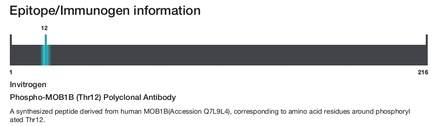 Phospho-MOB1B (Thr12) Polyclonal Antibody