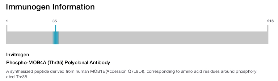 Phospho-MOB4A (Thr35) Polyclonal Antibody