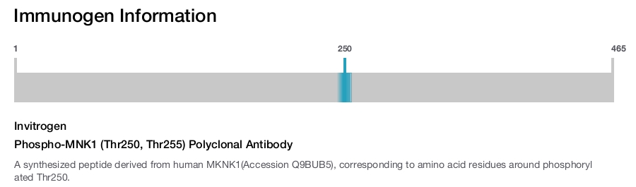 Phospho-MNK1 (Thr250, Thr255) Polyclonal Antibody