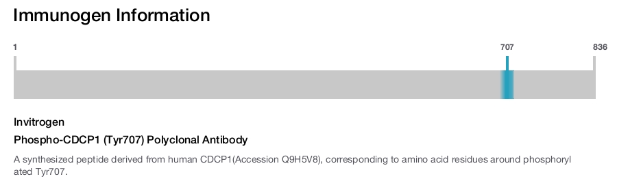 Phospho-CDCP1 (Tyr707) Polyclonal Antibody