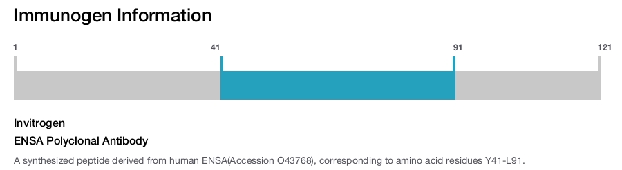ENSA Polyclonal Antibody