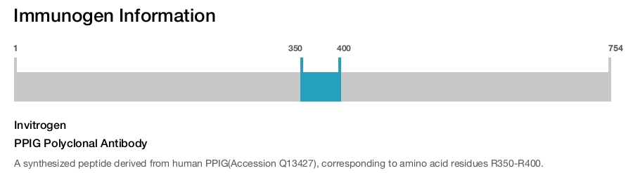 PPIG Polyclonal Antibody