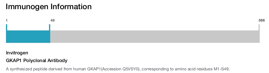 GKAP1 Polyclonal Antibody