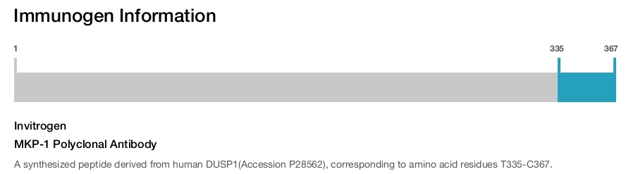 MKP-1 Polyclonal Antibody