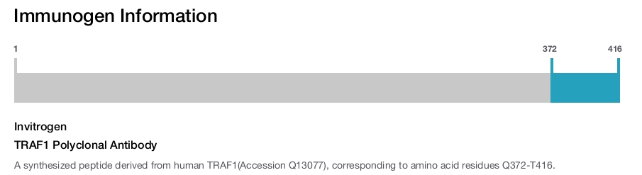 TRAF1 Polyclonal Antibody