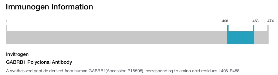 GABRB1 Polyclonal Antibody