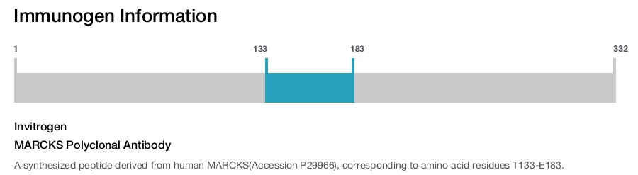 MARCKS Polyclonal Antibody