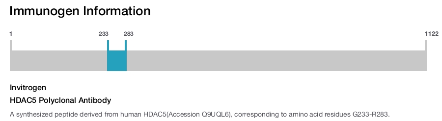 HDAC5 Polyclonal Antibody