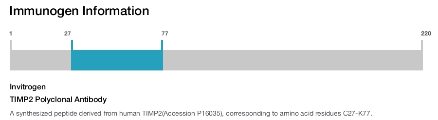 TIMP2 Polyclonal Antibody