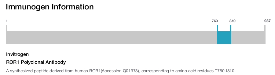 ROR1 Polyclonal Antibody