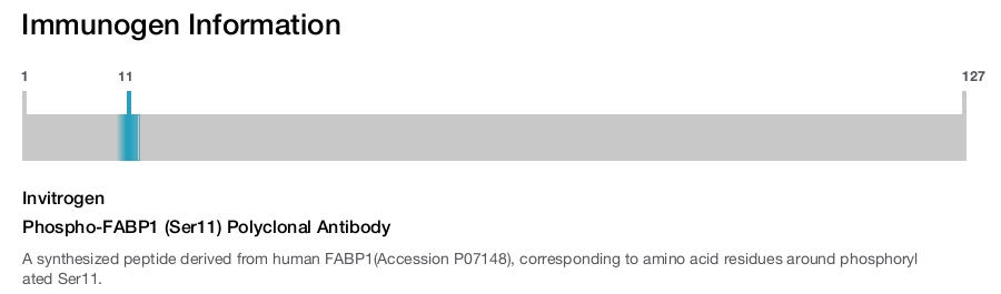 Phospho-FABP1 (Ser11) Polyclonal Antibody