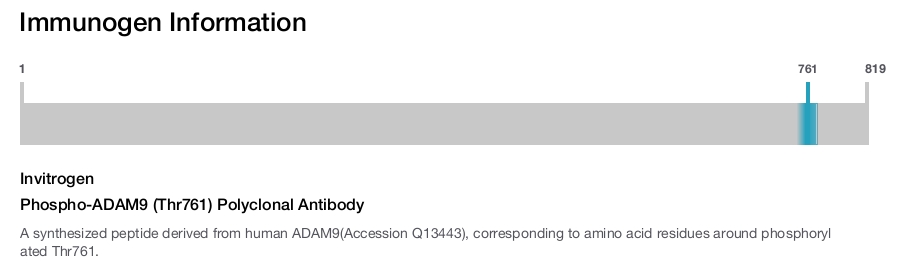 Phospho-ADAM9 (Thr761) Polyclonal Antibody