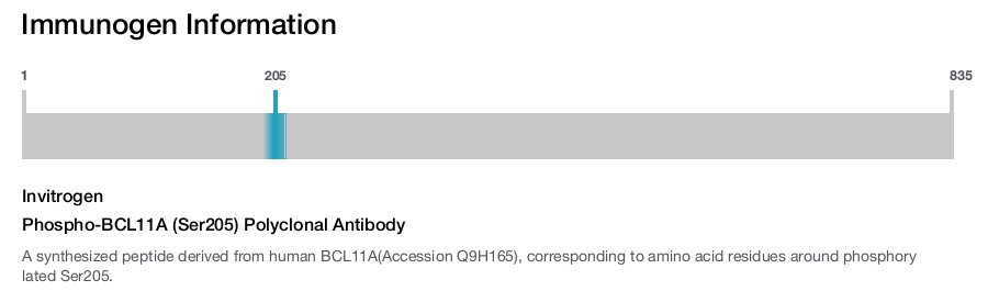 Phospho-BCL11A (Ser205) Polyclonal Antibody