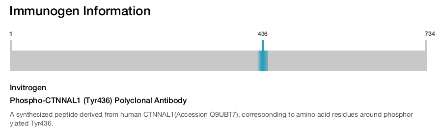 Phospho-CTNNAL1 (Tyr436) Polyclonal Antibody