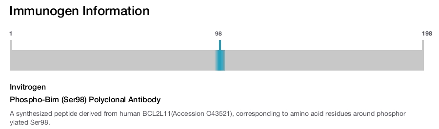 Phospho-Bim (Ser98) Polyclonal Antibody