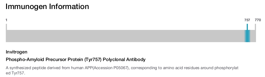 Phospho-Amyloid Precursor Protein (Tyr757) Polyclonal Antibody