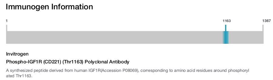 Phospho-IGF1R (CD221) (Thr1163) Polyclonal Antibody