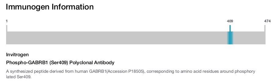 Phospho-GABRB1 (Ser409) Polyclonal Antibody