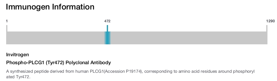 Phospho-PLCG1 (Tyr472) Polyclonal Antibody