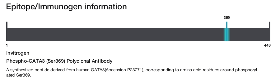 Phospho-GATA3 (Ser369) Polyclonal Antibody
