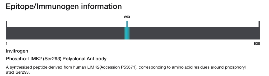 Phospho-LIMK2 (Ser293) Polyclonal Antibody