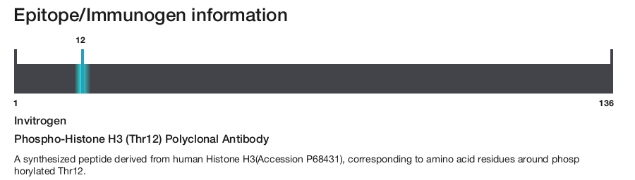 Phospho-Histone H3 (Thr12) Polyclonal Antibody