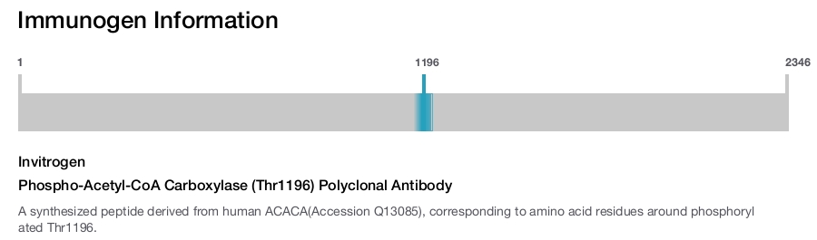 Phospho-Acetyl-CoA Carboxylase (Thr1196) Polyclonal Antibody