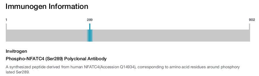 Phospho-NFATC4 (Ser289) Polyclonal Antibody