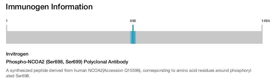 Phospho-NCOA2 (Ser698, Ser699) Polyclonal Antibody