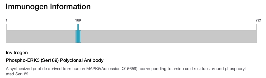 Phospho-ERK3 (Ser189) Polyclonal Antibody