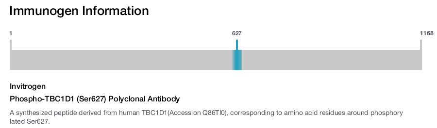 Phospho-TBC1D1 (Ser627) Polyclonal Antibody