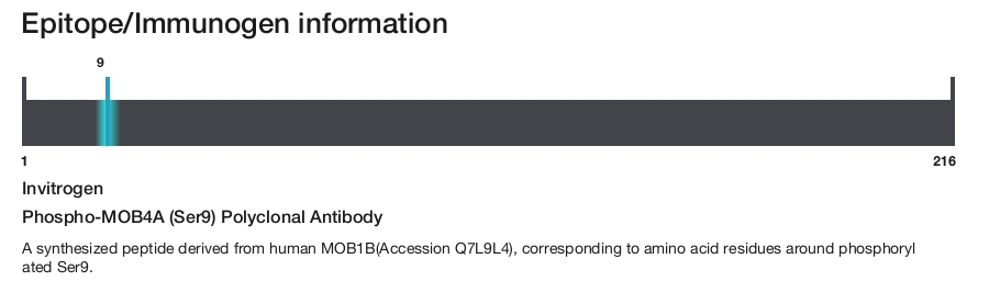 Phospho-MOB4A (Ser9) Polyclonal Antibody