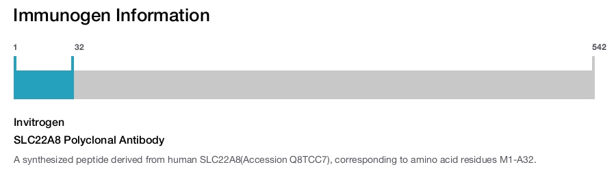 SLC22A8 Polyclonal Antibody
