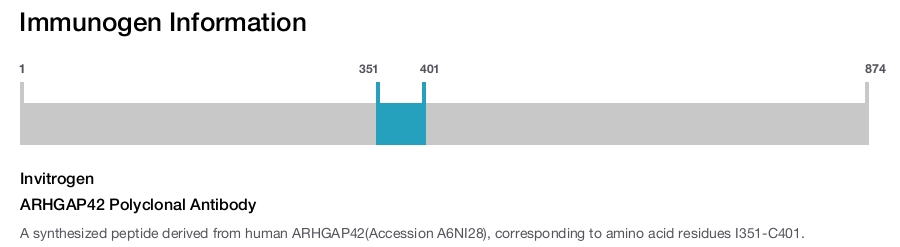 ARHGAP42 Polyclonal Antibody