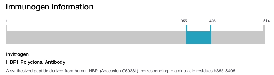 HBP1 Polyclonal Antibody