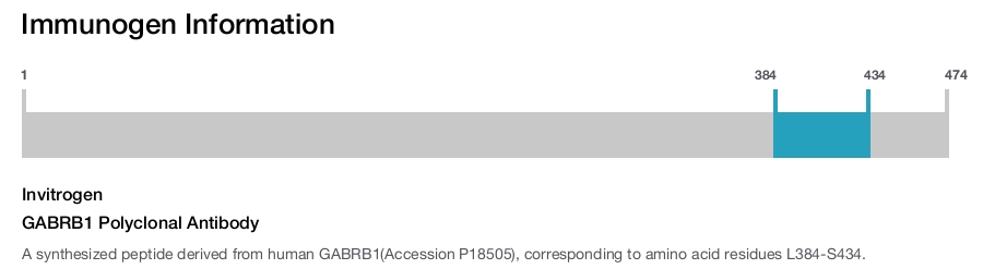 GABRB1 Polyclonal Antibody