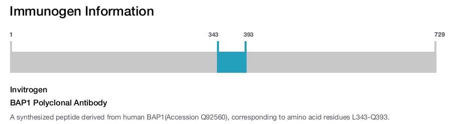BAP1 Polyclonal Antibody