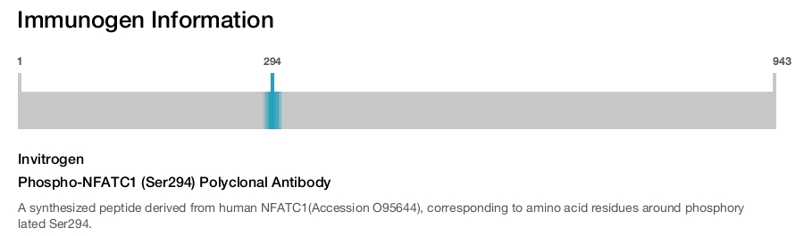 Phospho-NFATC1 (Ser294) Polyclonal Antibody