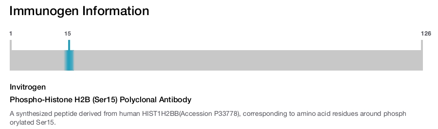 Phospho-Histone H2B (Ser15) Polyclonal Antibody