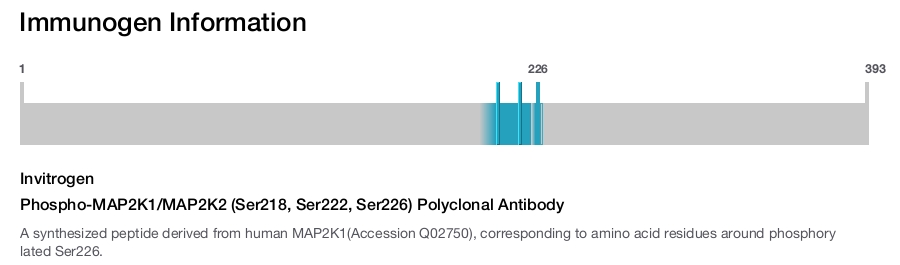 Phospho-MAP2K1/MAP2K2 (Ser218, Ser222, Ser226) Polyclonal Antibody