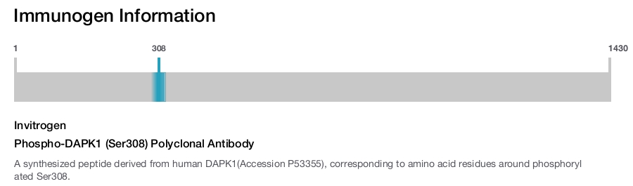 Phospho-DAPK1 (Ser308) Polyclonal Antibody