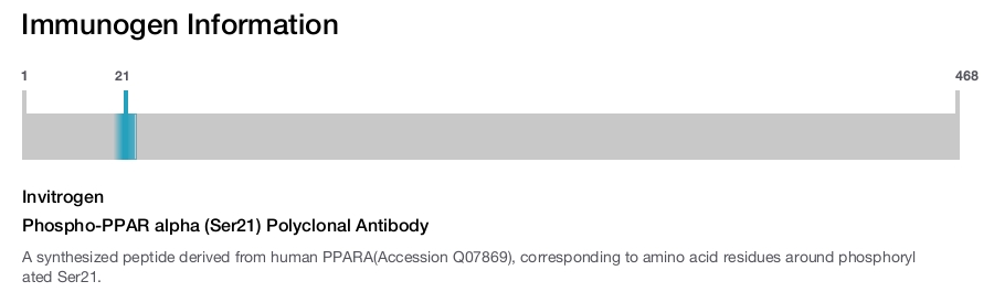 Phospho-PPAR alpha (Ser21) Polyclonal Antibody