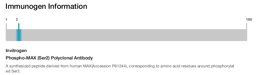 Phospho-MAX (Ser2) Polyclonal Antibody