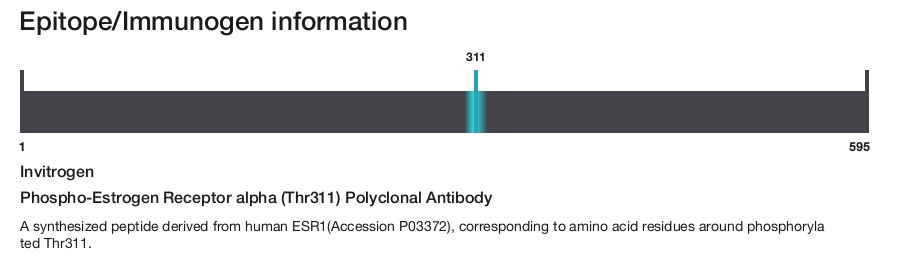 Phospho-Estrogen Receptor alpha (Thr311) Polyclonal Antibody