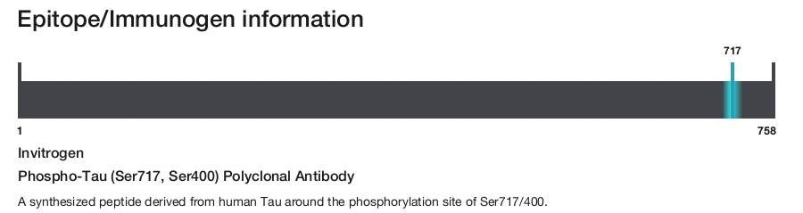 Phospho-Tau (Ser717, Ser400) Polyclonal Antibody
