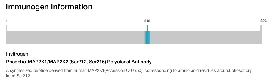 Phospho-MAP2K1/MAP2K2 (Ser212, Ser216) Polyclonal Antibody